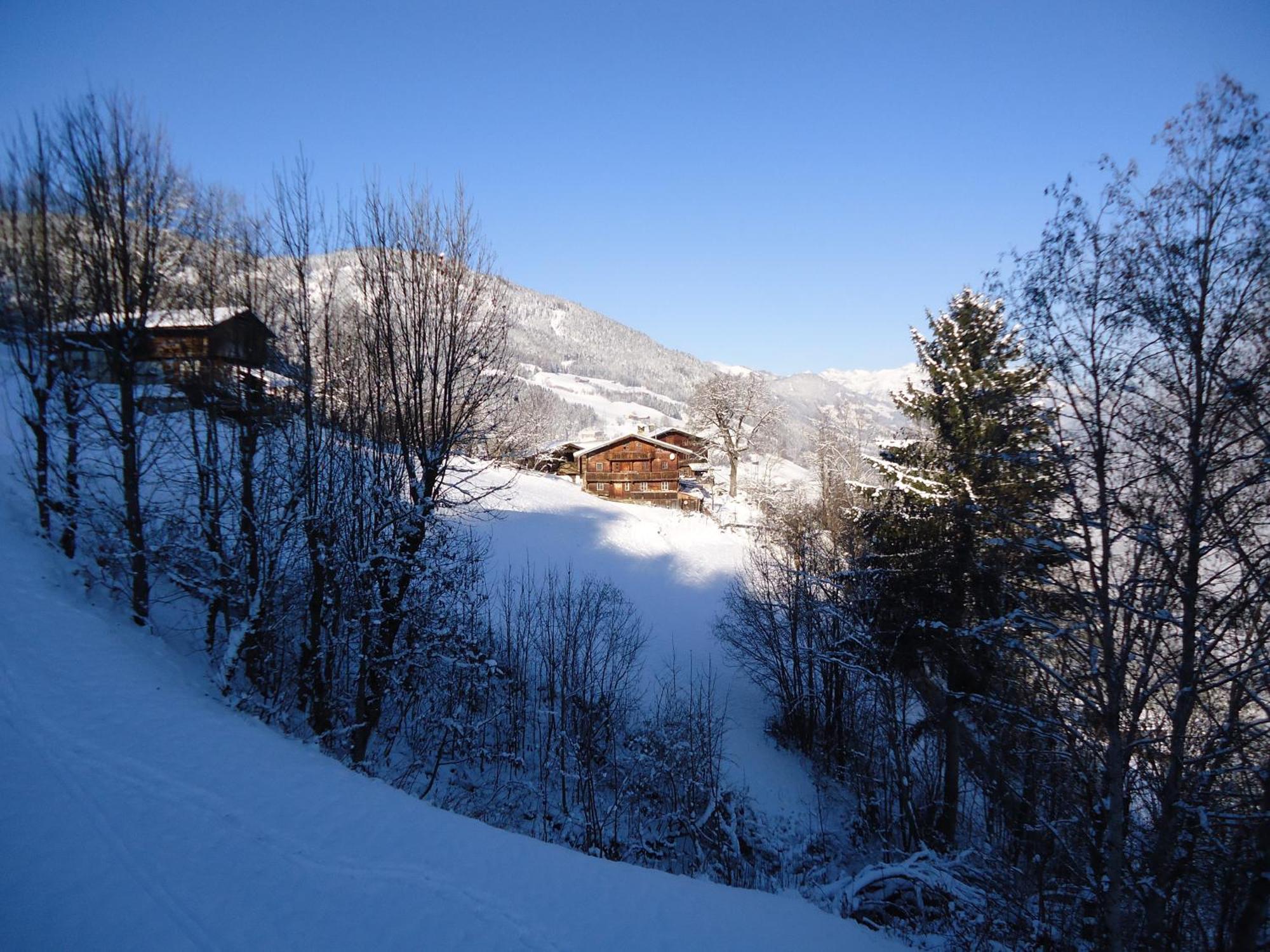 Apart Bianca Zillertal Калтенбах Екстериор снимка